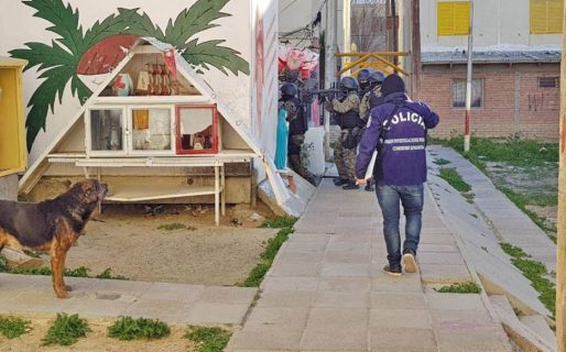 Cayó una banda que cometía entraderas en el Pueyrredón