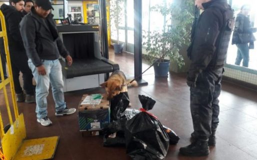 Harán controles sorpresivos en la Terminal de colectivos