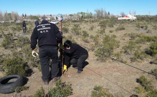 Levantaron un asentamiento ilegal