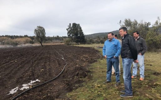 “A medida que se acerca octubre vemos que se afianza nuestra propuesta”