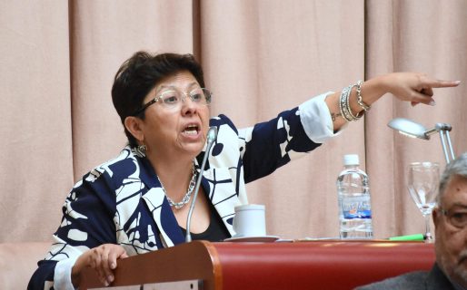 Navarro rechaza el proyecto “Acueducto Los Monos”