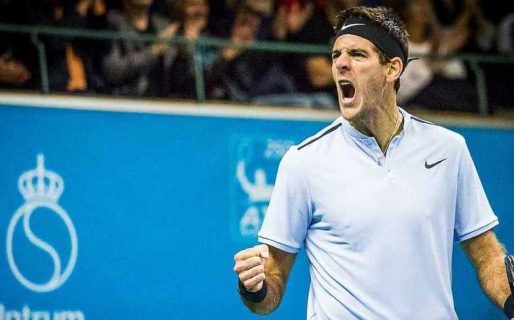 Del Potro se quedó con el título en Estocolmo