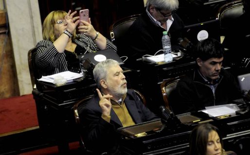 Ana Llanos bajó a sesión para quitarle los fueros a De Vido