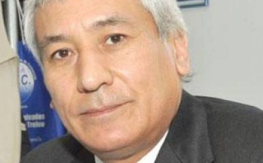 «Hay que revisar el directorio de Cammesa»