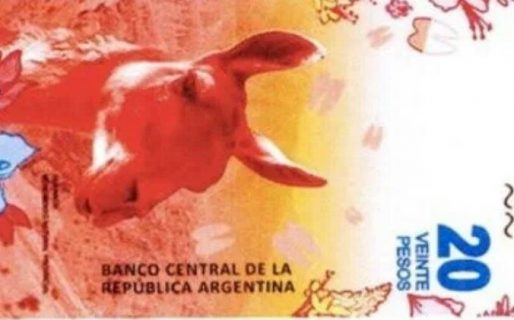 El nuevo billete de 20 pesos tendrá un guanaco