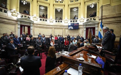 El Senado de la Nación homenajeó a Das Neves