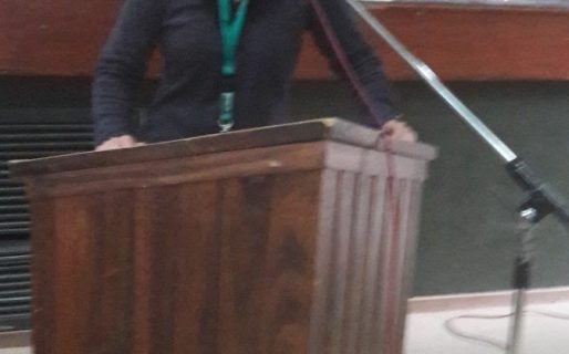 Importante presencia de periodistas locales en el RedCom 2017