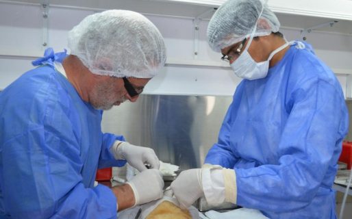 La MCR realizó más de 5.000 castraciones en perros y gatos durante 2017