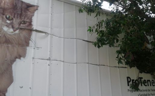 Repudian los hechos de vandalismo en el tráiler de esterilización