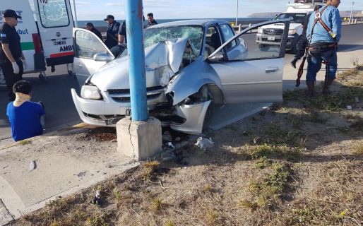Alcoholizado, chocó contra una palma y terminó en el corralón