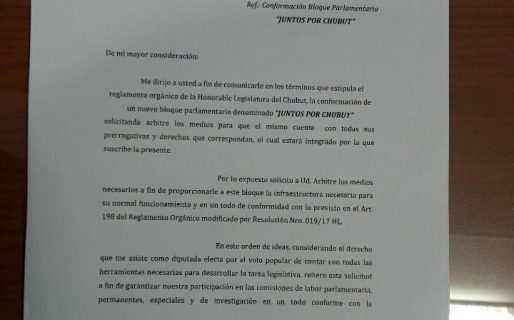 Cecilia Torres Otarola deja el bloque del Frente para la Victoria
