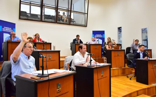 El Concejo cerró un año legislativo intenso
