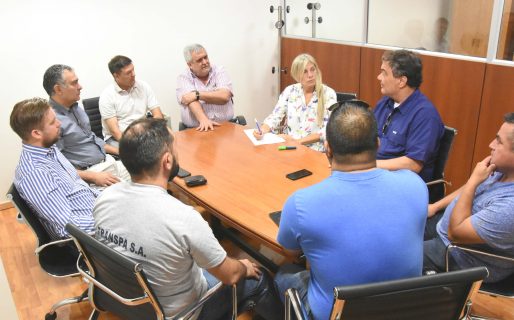 Dirigentes de Luz y Fuerza pidieron prorrogar la ley de emergencia