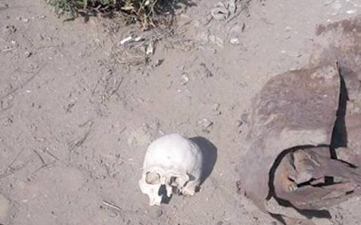 Encontraron un cráneo humano en la zona alta de barrio San Martín