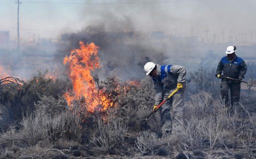 Se incendió un campo cerca de instalaciones petroleras