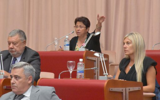 Navarro pidió informes por el derrame en Caleta Córdova