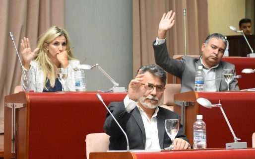 La Ley de Emergencia fue aprobada con 21 votos