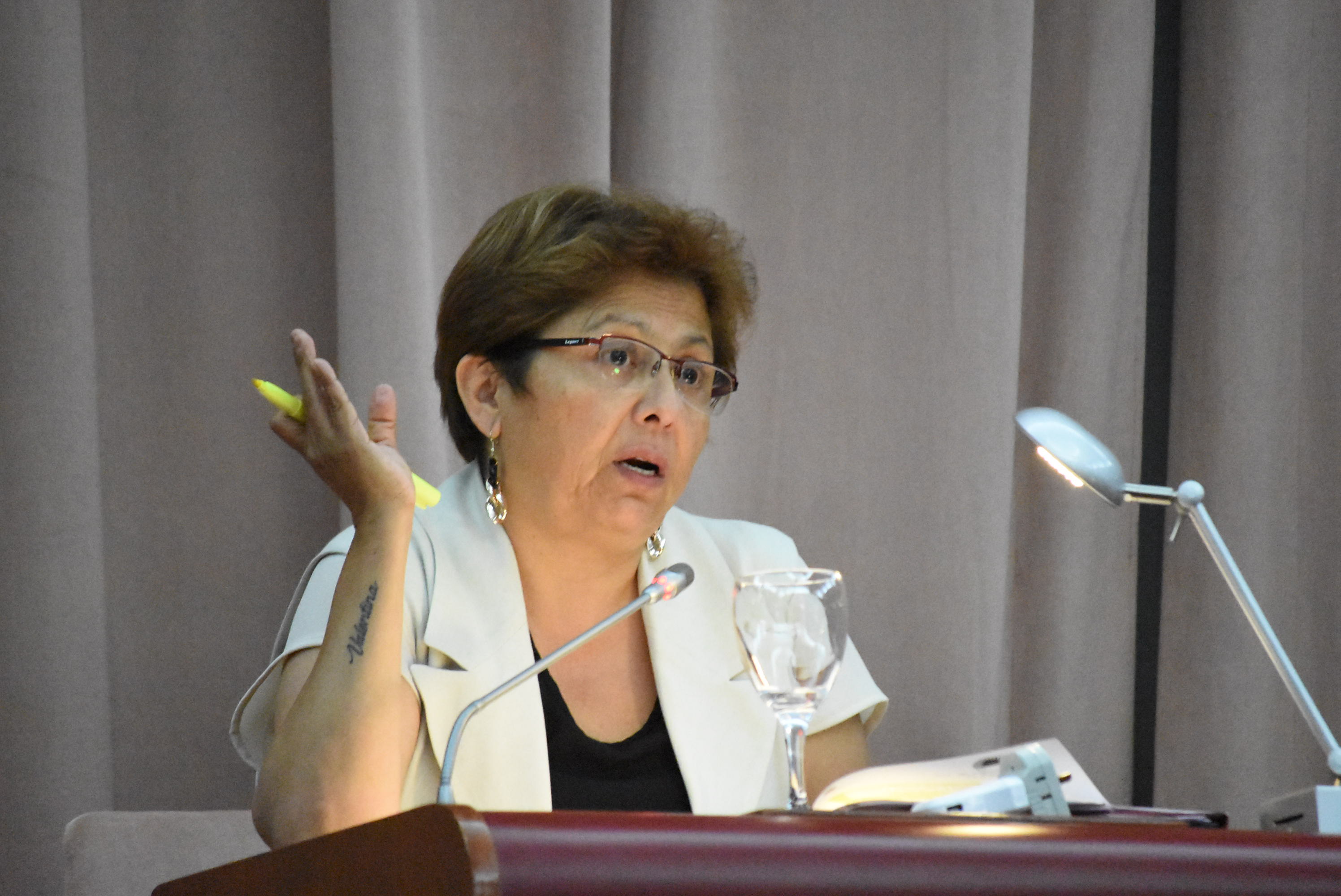 Navarro solicita la morgue para el Hospital de Comodoro