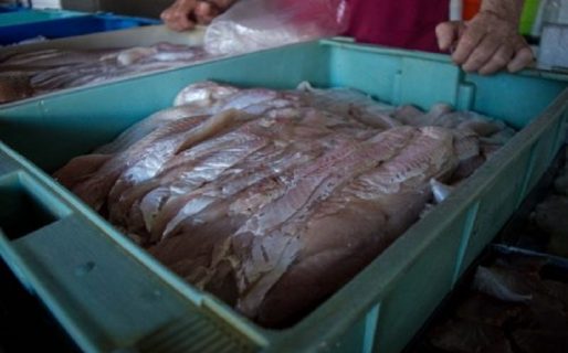 Brindan recomendaciones para el consumo de pescados y mariscos
