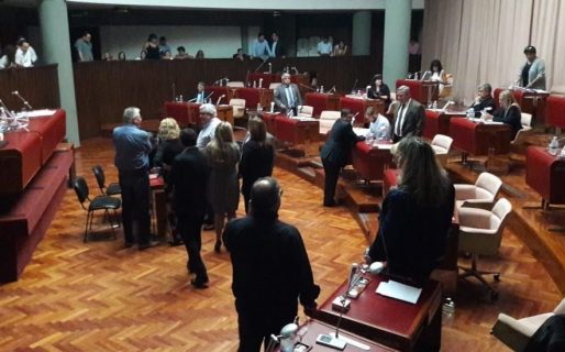 La Legislatura sigue sin sesionar por el reclamo de APEL