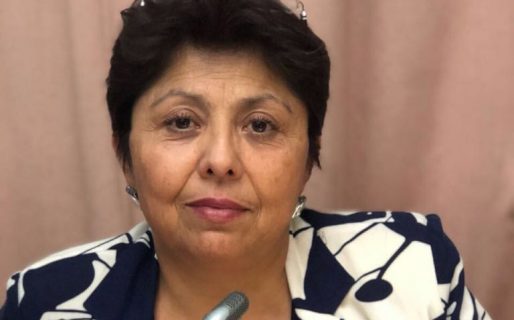 Navarro: “Mammarelli es un elefante en un bazar”