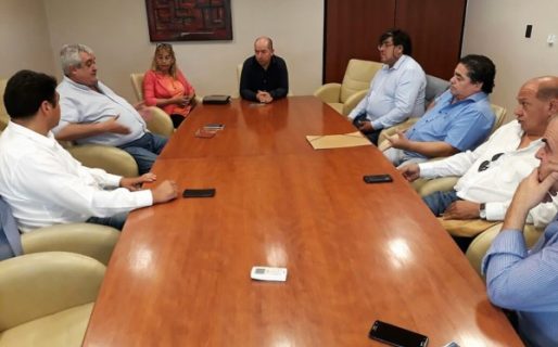 Los intendentes de la Meseta apuran la zonificación minera