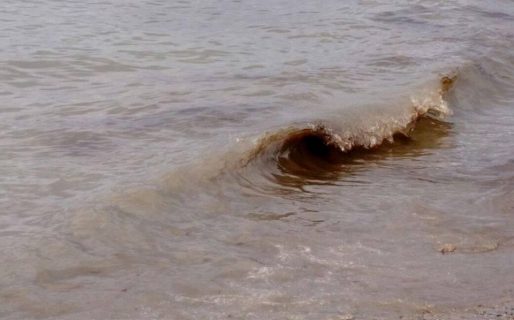 Nuevo derrame de petróleo en Caleta Córdova