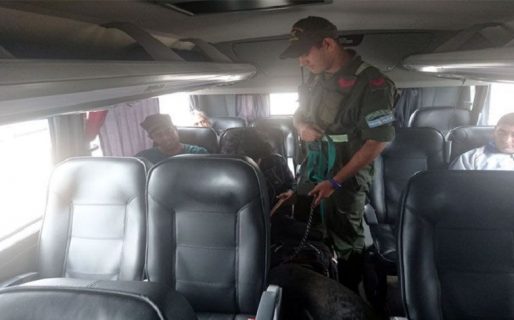 Encuentran marihuana en un micro de larga distancia