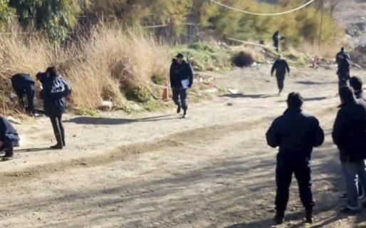 Encontraron un cuerpo al que los perros le comieron los brazos