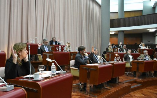 La Legislatura del Chubut aprobó la Ley de Emergencia Comercial