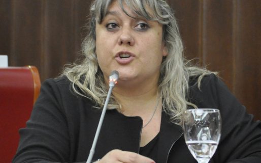 Constituirán el Comité de Cuencas de Acuíferos Subterráneos de Sacanana y Gastre