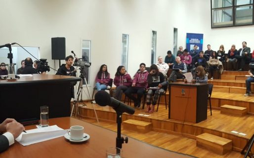 Los Argumentos por el aumento del boleto de colectivo