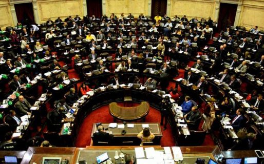 Debate por el aborto: Reclamo de diputadas al Gobierno Nacional