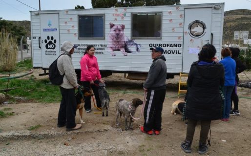 Nueva ubicación del tráiler de esterilización canina y felina en zona norte