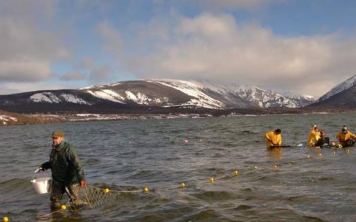 La Dirección de Pesca Continental realiza controles en espejos de agua de la provincia