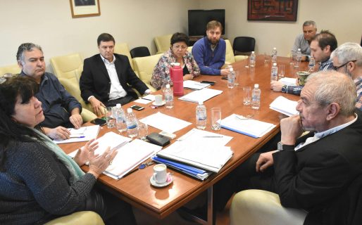 Analizaron el panorama energético de Chubut por la situación de GENNEIA