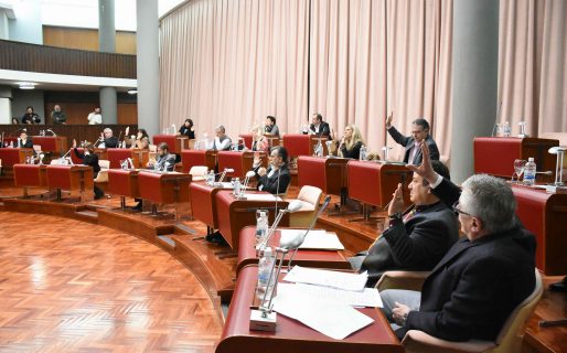 Fuerte rechazo de Diputados del PJ-FpV a la decisión de Nación de reducir las asignaciones familiares