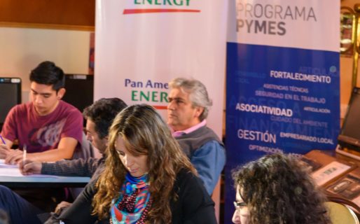 Emprendedores de la región concluyeron el programa EmprenDES