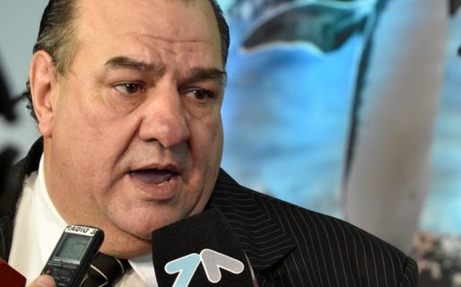 Niegan que vayan a enviarse pingüinos de Chubut a Japón