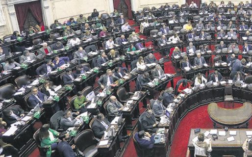 Bloques opositores buscan impedir la reforma militar decretada por Macri