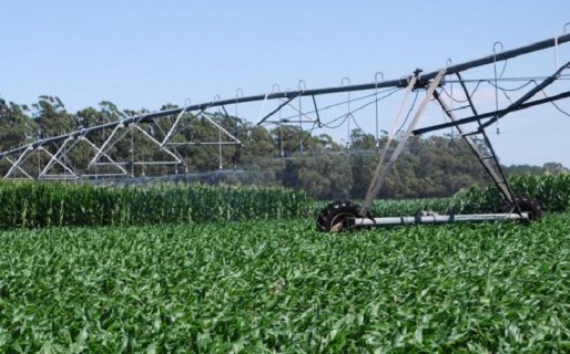 Comodoro avanzará en la Justicia por la retención del Fondo Sojero