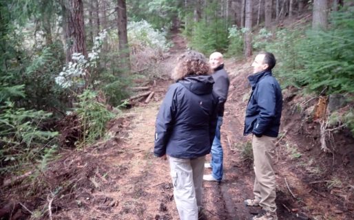 Provincia realizó aporte económico para la prevención de incendios forestales