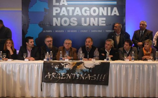 Linares: “Le demostramos al país la fuerza de una Patagonia unida”