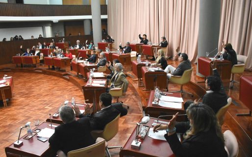 En la Legislatura tomarán medidas de prevención luego de que una diputada tuviera Gripe A