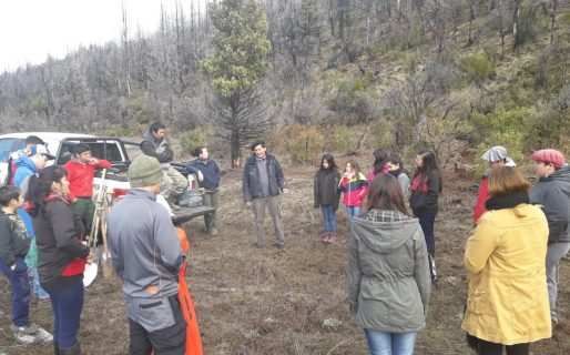 Avanza el Plan Anual de Restauración de Bosques con una jornada por el Día del Árbol