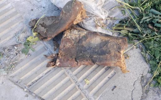 Encuentran restos humanos en una vereda de calle San Martín