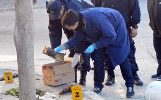 El cuerpo hallado habría sido desmembrado en doce partes