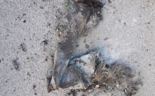 “Los restos óseos hallados pertenecerían a un mismo cuerpo”