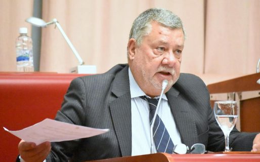 Meza Evans: “Adelantar las elecciones es un capricho de Arcioni”