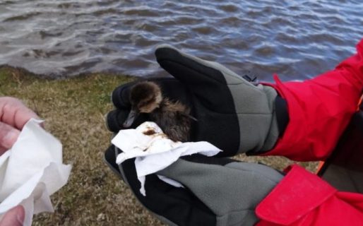 Derrame de petróleo en una planta de YPF en Tierra Del Fuego